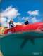 Kayak collection - Hobie Kayak