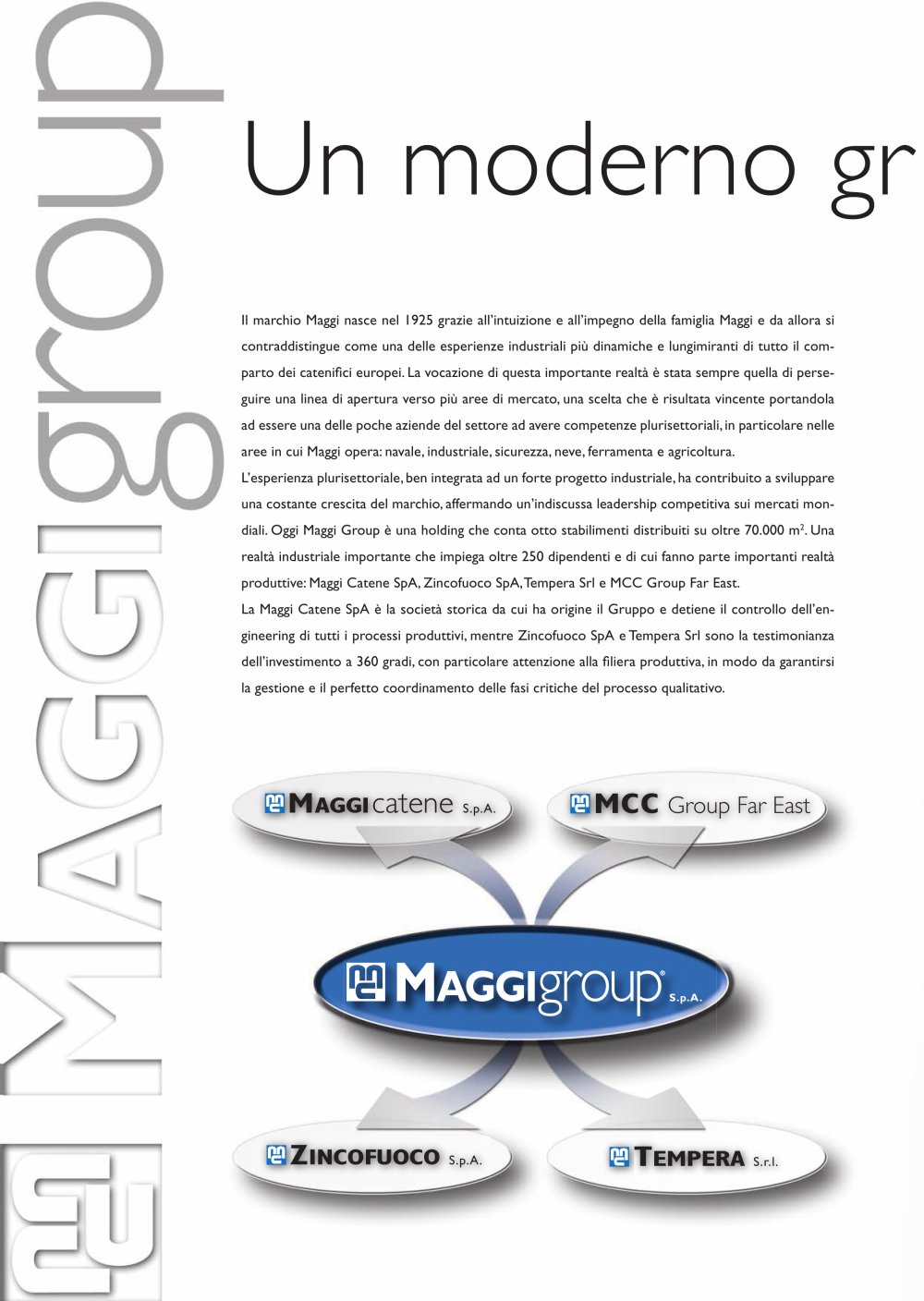 Maggi Group - 