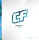 CrazyFly_2013
