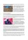 Yarga user manual - Best Kiteboarding