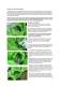 Yarga user manual - Best Kiteboarding