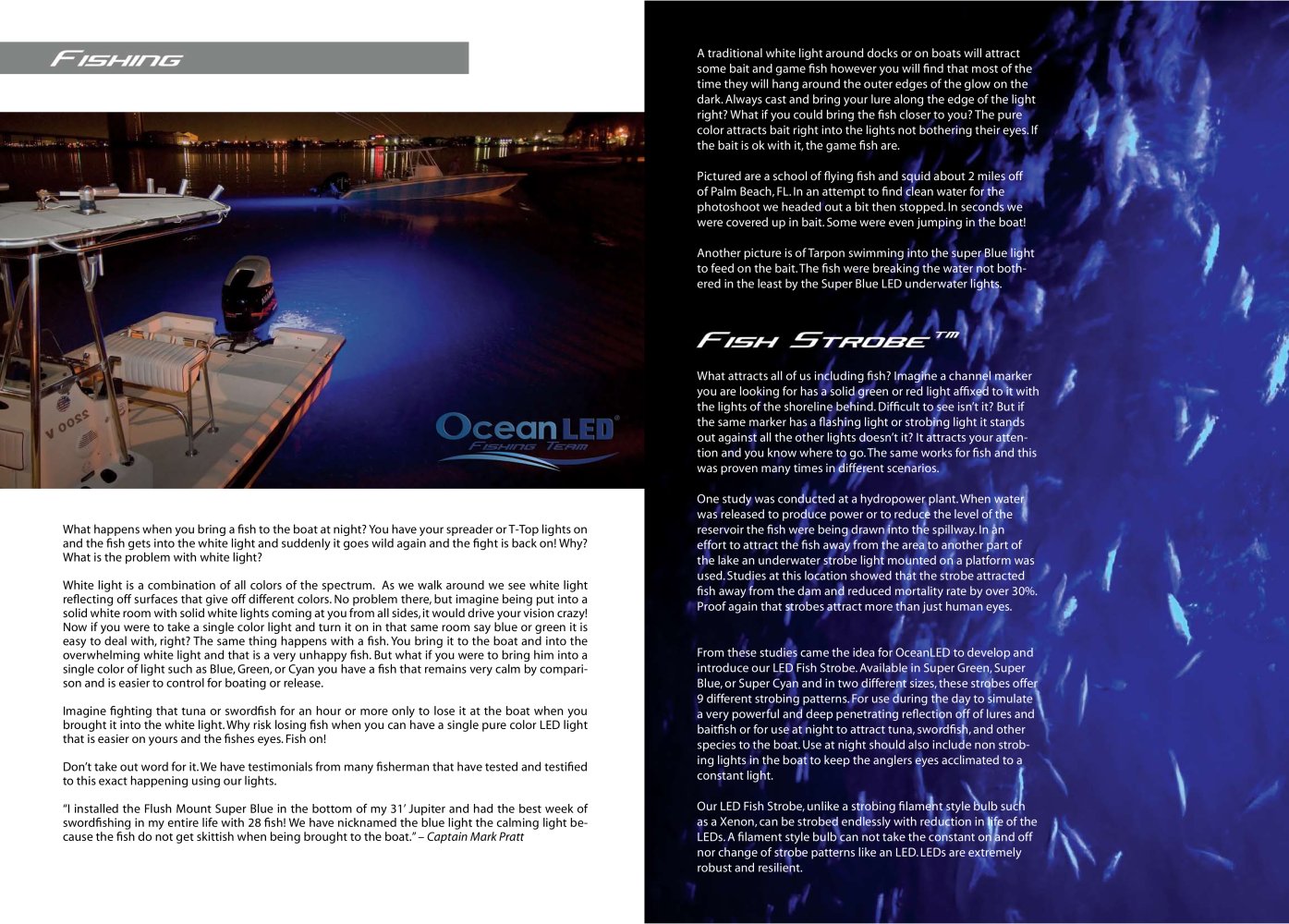 OceanLED Ltd - 152567, 19044, 52875