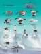 2012 HelmChair.com by Llebroc Industries Catalog