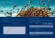 SEDNA BALLAST Brochure - Hamann AG