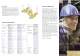 Think Twice Tandem catalogue - BROMMA