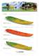 BEACH KAYAK BROCHURE