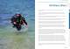 RECREATIONAL DIVING PRODUCT BROCHURE