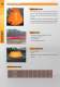 Oil Spill Equipment Catalogue
