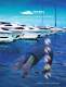 Superior Marine Cable Solutions - 2012 Catalogue