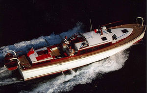 lancha Express Cruiser com motor de centro / a diesel / clássica