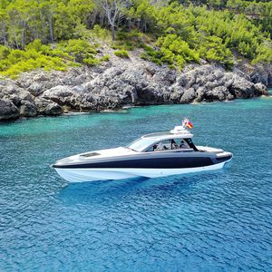 lancha Express Cruiser de rabeta / a diesel / trimotor / com hard-top