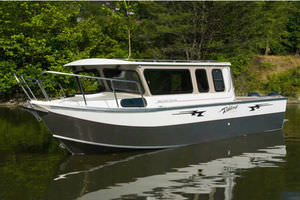lancha Express Cruiser com motor de popa / a diesel / de pesca esportiva / máx. 10 pessoas