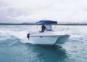 lancha de console central catamarã / com motor de popa / bimotor