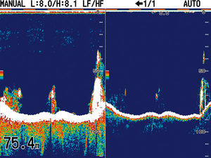 sonar de pesca para barco / em cores