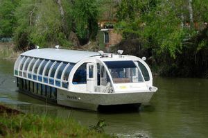 barco de passeio / catamarã / com motor de centro