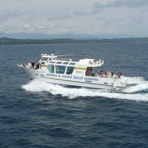 barco de passeio / a diesel / com motor de centro