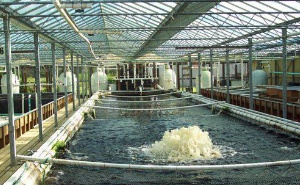 Filtration, aeration and oxygenation