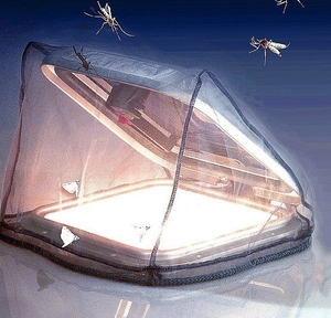 insect-screen