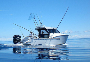 sport-fishing-cabin-cruiser