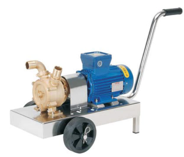 Boat pump GR ADPE LIVERANI transfer / water / rotary vane