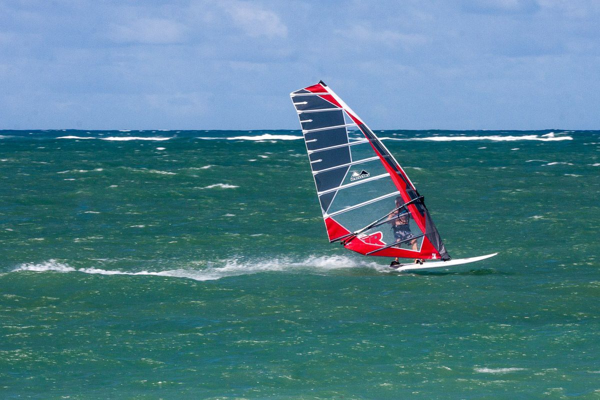 Slalom windsurf sail TR2016 Mauisails race