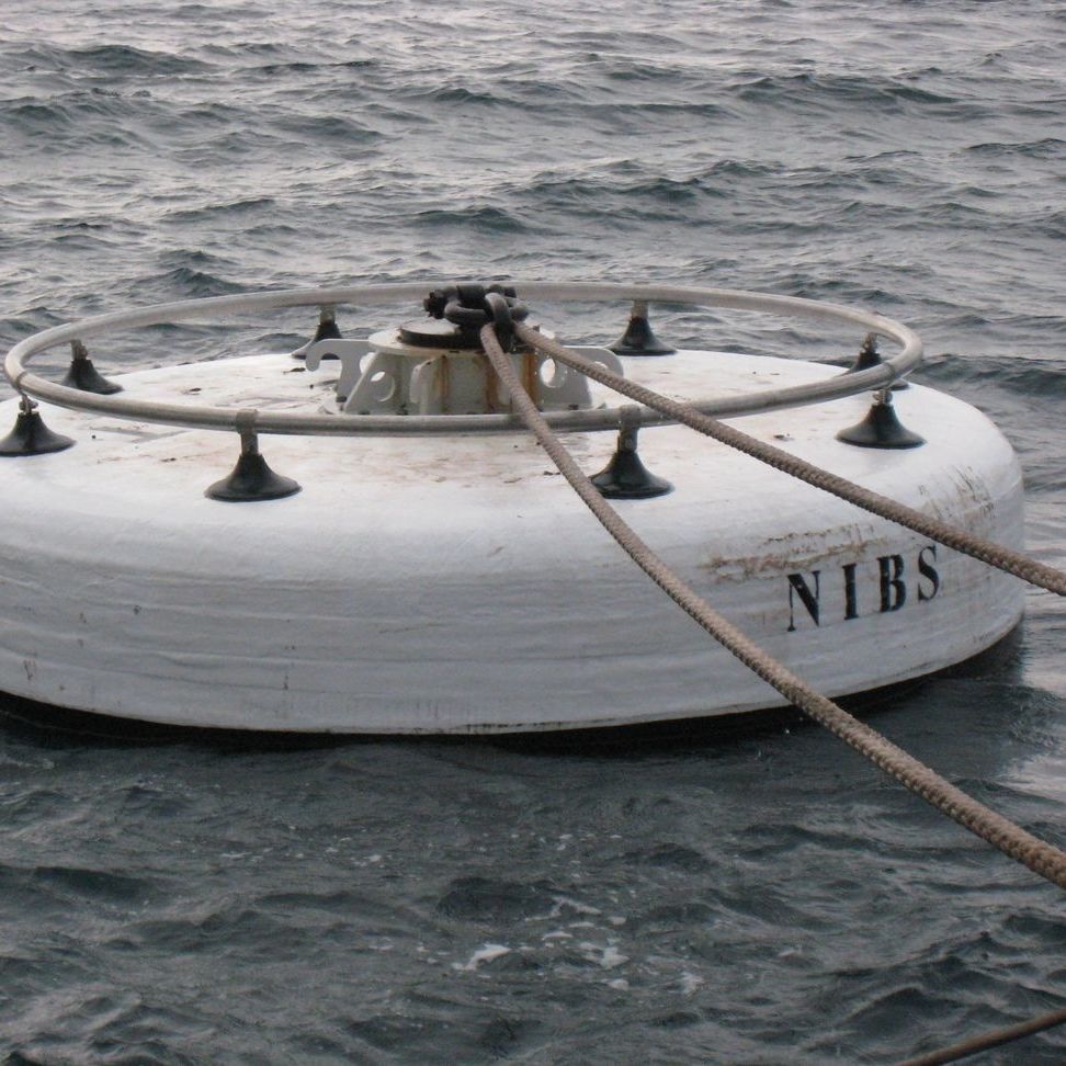 Mooring buoy NIBS France for terminals / polyethylene