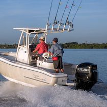 Outboard engine / gasoline / boating / 4-stroke