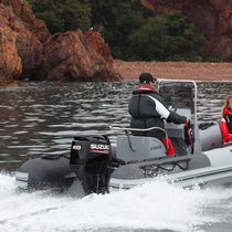 Outboard engine / gasoline / boating / 4-stroke