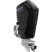 Outboard engine / gasoline / commercial...
