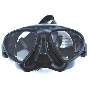 dual-lens dive mask