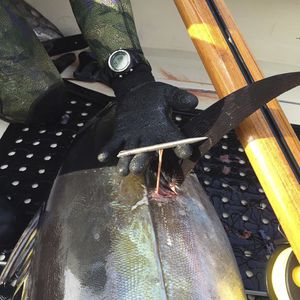 Ulusub Spearfishing Co.