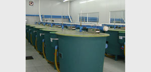 aquaculture feeding system