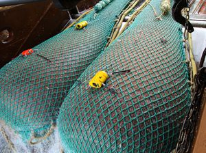 fishing net 1