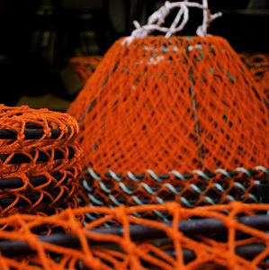 crab pot