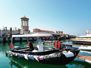 work boat professional boat / inboard