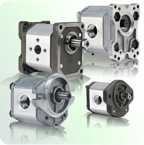 hydraulic motor 1