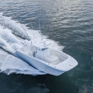 catamaran express cruiser