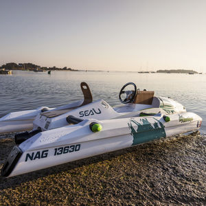 trimaran center console boat