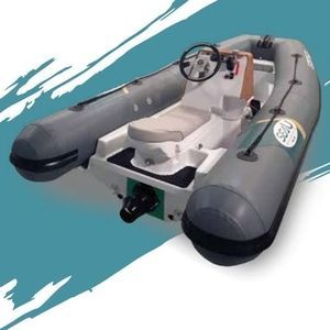 RIB 1