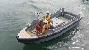 mini tug