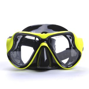 dual-lens dive mask