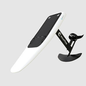 carbon fiber efoil board