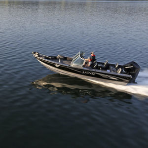 outboard runabout