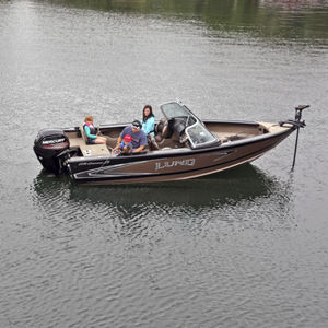 outboard runabout