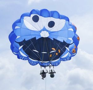 custom parasail