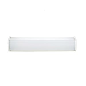 emergency ceiling light 1