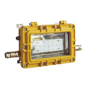 emergency light 1