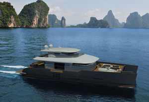 power catamaran motor yacht