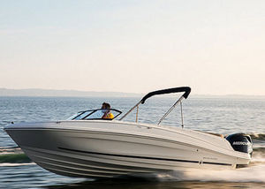 outboard runabout