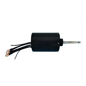electric motor 1